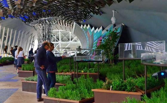 expo milan